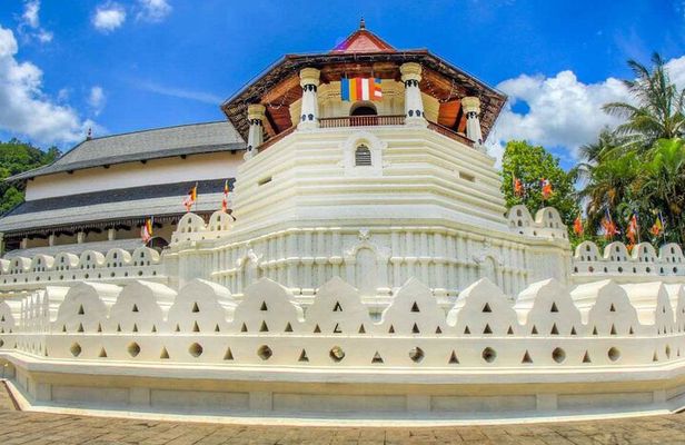 SriLanka Private 8Days Tour friendly Chauffeur+Vehicle with & without Hotel H/B 