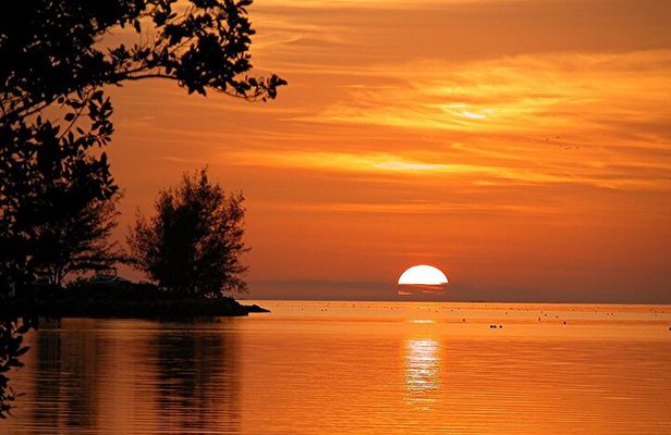 Key West: Sunset Sail Full Bar, Live Music & Dinner & Early Morning Snorkeling