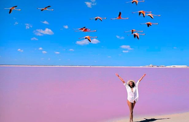 Tour Las Coloradas