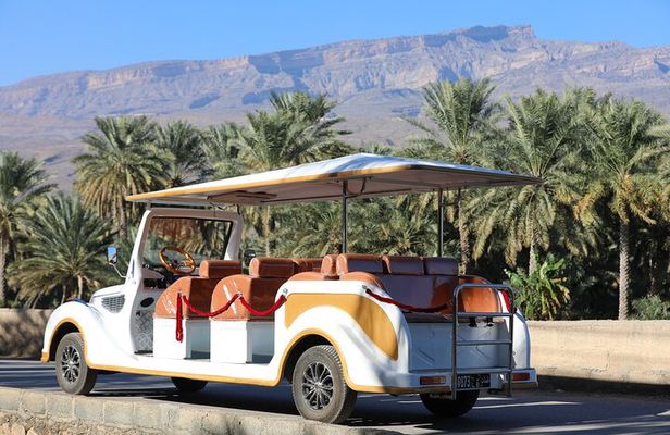 Classic Cart Tour through Alhamra Old Village