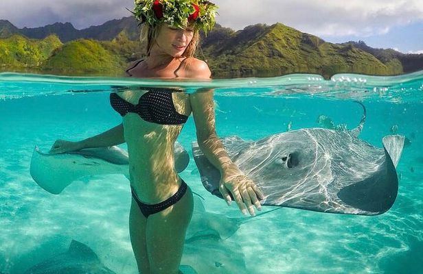 Snorkeling Safari Moorea (Half Day Tour)