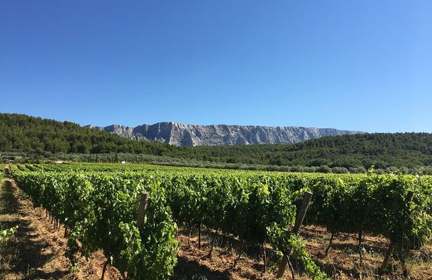 Short Day Tour around Aix en Provence and Wine Tasting