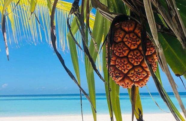 Salaam Cave Tour; Jambiani Beach; Kuza Cave; Paje Beach; The Rock