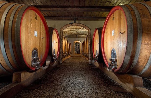 Langhe (Piedmont): Wine Tasting Experience