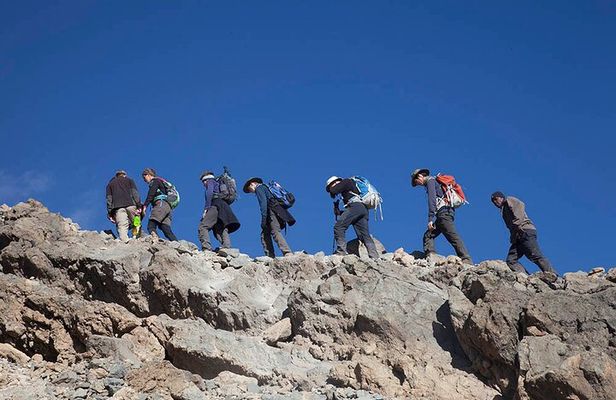 Mt. Kilimanjaro Trekking Adventure