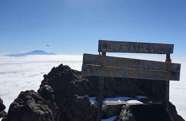 4 Days Mount Meru Trekking in Tanzania