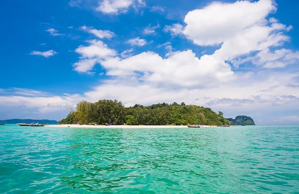 6 Hrs Bamboo & Phi Phi Island Private Longtail Boat From Phi Phi