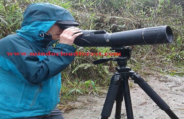 Ecuador Birds Tour & Mindo Cloud Forest - by Richard Hernandez