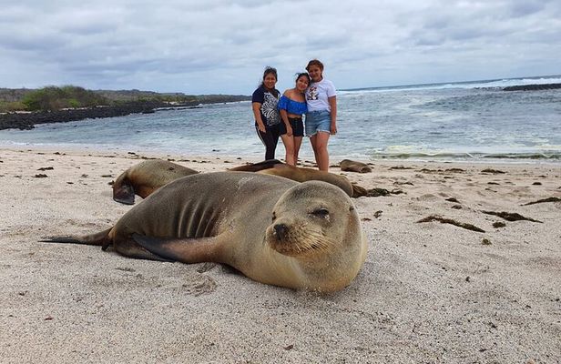 Day tour to San Cristobal Island with private Land Tour and snorkeling