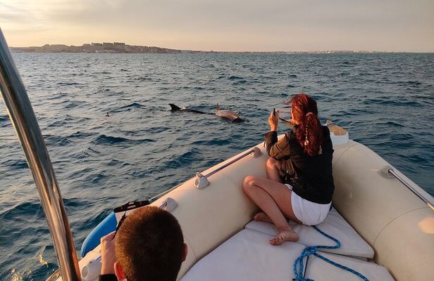 Private Dolphin Watching And Snorkeling Tour