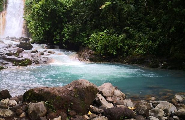 Rio Celeste river waterfall, hike and hot springs tour from San Jose, Costa Rica