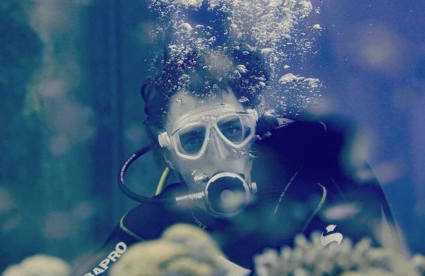 PADI Discover Scuba Diving Course