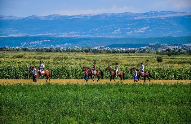 All-inclusive Horse riding & Jeep exploring