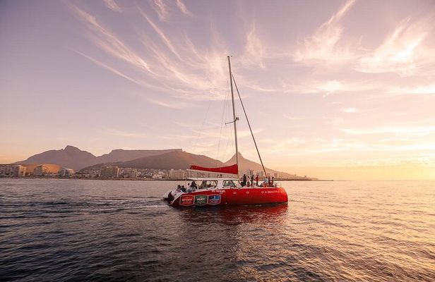 Catamaran Sunset Champagne Cruise Cape Town