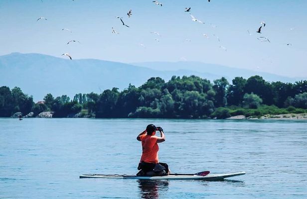 Stand Up Paddle tour from Tirana Albania to Skadar Lake & Buna River