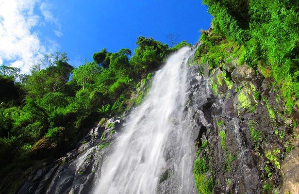 Private Tour to Materuni Waterfalls, coffee tour, Kikuletwa Hot Springs & Maasai