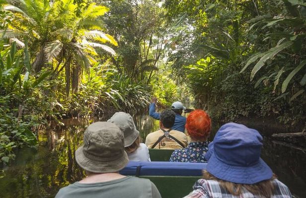 4-Day Amazon Jungle Tour From Iquitos