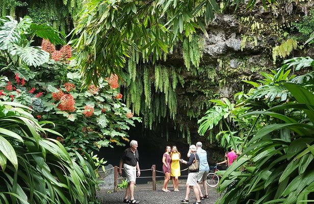 Unique Tahiti Tour - personalised, small group west coast tour