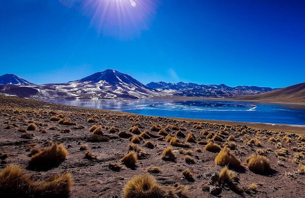 Small-Group Tour Altiplanic Lagoons Red Stones & Flamingo Reserve