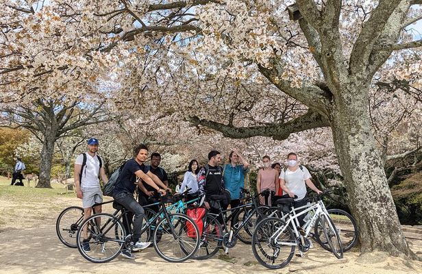 Nara - Heart of Nature Bike Tour
