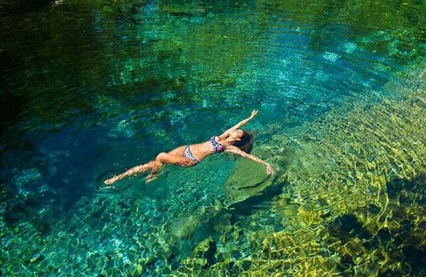 Wild on Caribbean SEA