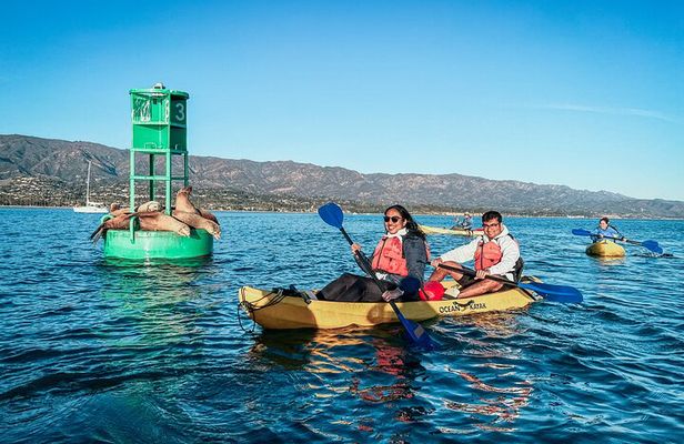 Wildlife Kayak Tour in Santa Barbara Harbor (2 Hours)