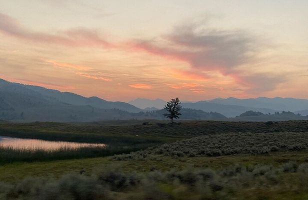 Private Evening/Sunset Wildlife Encounter Tour