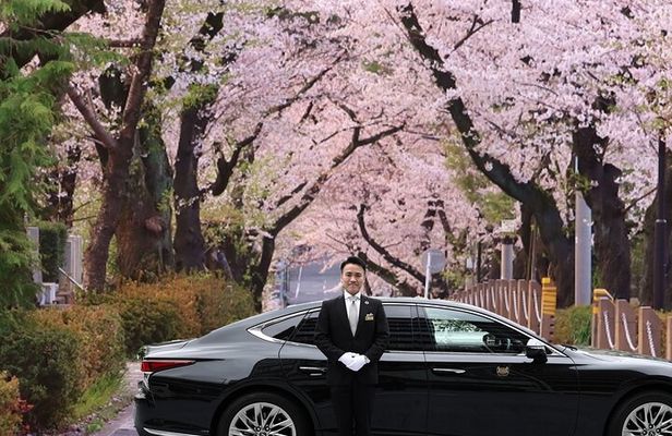 Cherry Blossom Private Tour