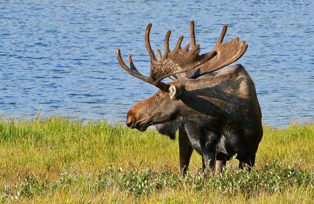 Rocky Mountain National Park Tour - RMNPhotographer
