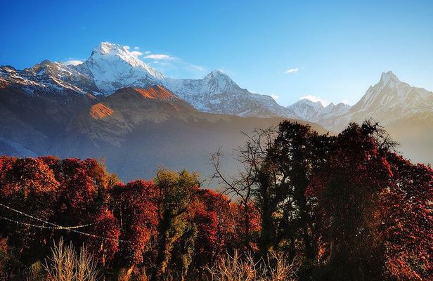 Annapurna Circuit Trek