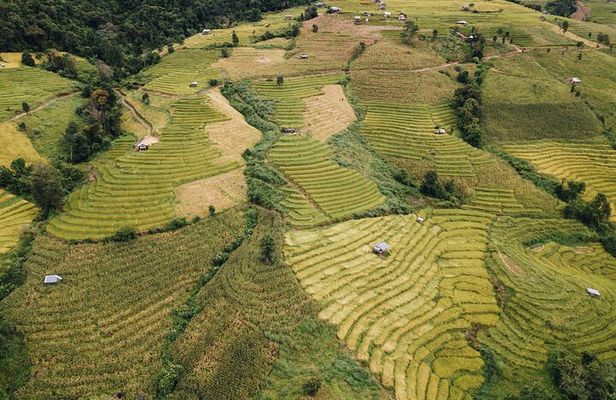 One day Doi Inthanon & Trekking at Pha Dok Siew