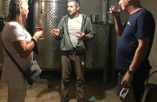 Natural Wine Tour to Kartli region, lunch & wine tasting at Andro Barnovi