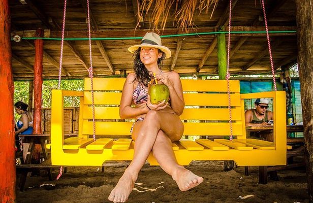 Tranquila Beach and Aquarium Day Tour