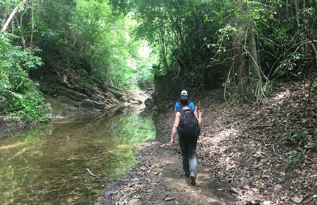 The Jaguar´s Footprint: Hike and Music Day Trip from Cartagena