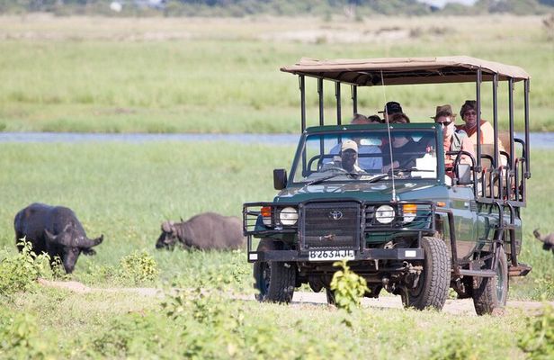 Boat Cruise And Game Drive in Chobe National Park