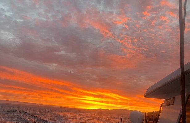 Sunset Whale Watch Tour in Monterey