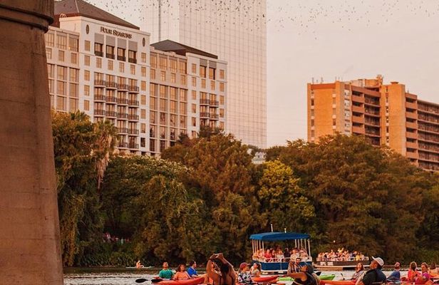 Guided Sunset Bat Kayak Tour in Austin