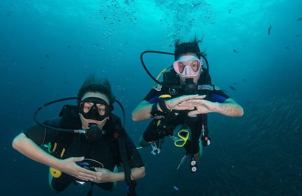 La Bombona Diving Koh Tao Open Water Course
