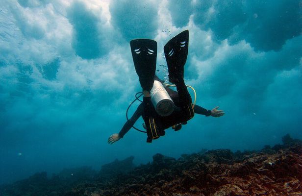 Scuba Diving (1st time) in Cancun Beginner's WELCOMED!