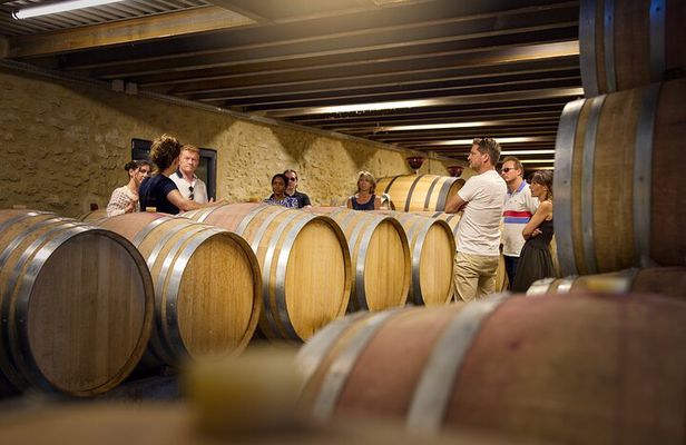 Visit of the cellars of Château Gigognan with tasting