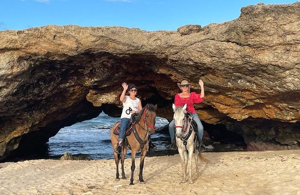 2-Hour Horseback Riding Tour to Little Natural Bridge in Aruba