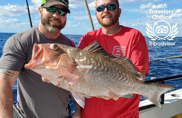 10 Hour Fishing Experience from John's Pass in Madeira Beach