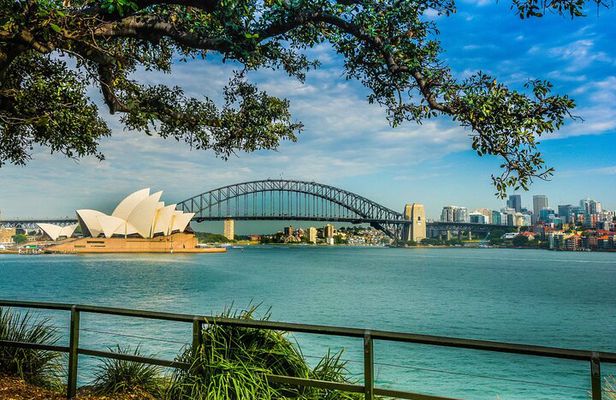 Morning or Afternoon Half-Day Sydney City Sightseeing Tour