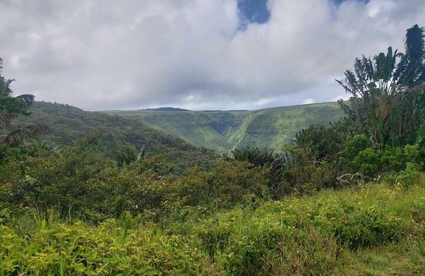 Private Hiking Experience in Black River Gorges National Park