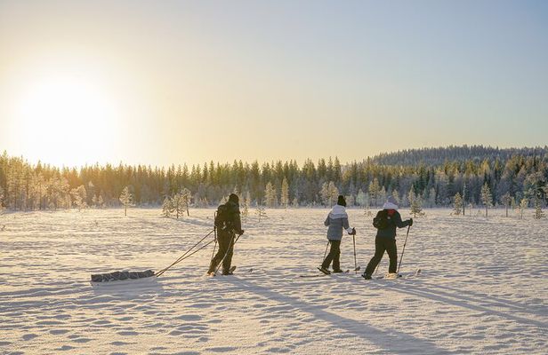 First Arctic Expedition on Altai Skis