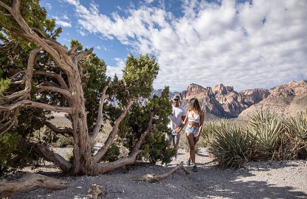 Red Rock Canyon Scooter Tour from Las Vegas