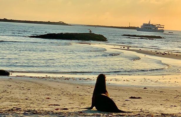 Isabela Island Tour in Galapagos with Kayak