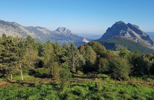 Private Tour Visiting Villages, Forests and Valleys in Biscay