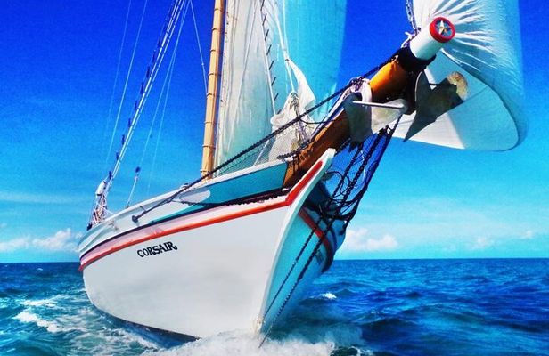 ALL INCLUSIVE Full Day snorkeling & sunset cruise with boat dogs
