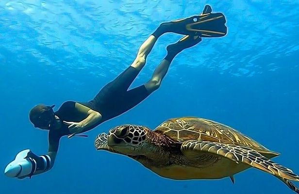 Sea Scooter Snorkel Tour - Guided Ocean Safari + Reef and Lagoon Adventure